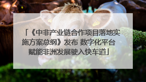 《中非产业链合作项目落地实施方案总纲》发布 数字化平台赋能非洲发展驶入快车道