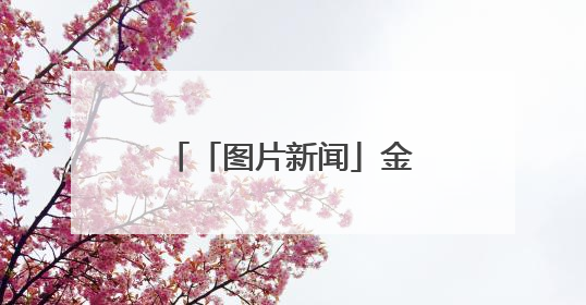 「图片新闻」金昌市广泛开展“戏曲进校园”活动