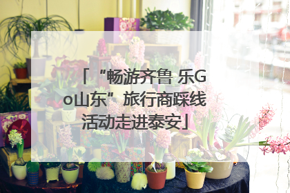 “畅游齐鲁 乐Go山东”旅行商踩线活动走进泰安