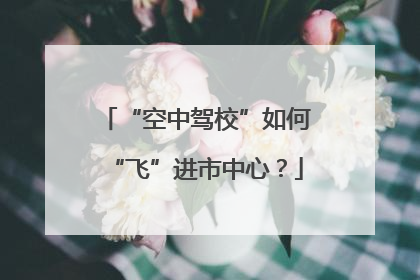 “空中驾校”如何“飞”进市中心？