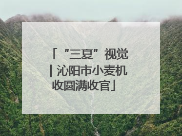 “三夏”视觉｜沁阳市小麦机收圆满收官