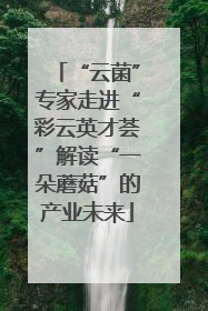 “云菌”专家走进“彩云英才荟”解读“一朵蘑菇”的产业未来