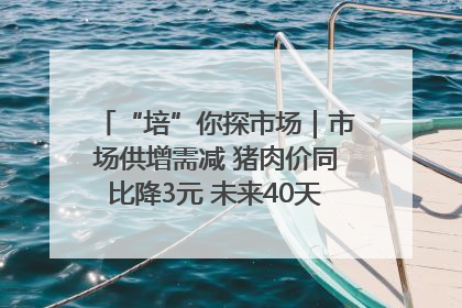 “培”你探市场｜市场供增需减 猪肉价同比降3元 未来40天便宜猪肉敞开吃