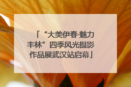 “大美伊春·魅力丰林”四季风光摄影作品展武汉站启幕