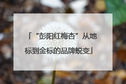 “彭阳红梅杏”从地标到金标的品牌蜕变