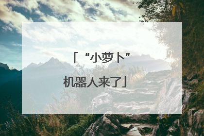 “小萝卜”机器人来了