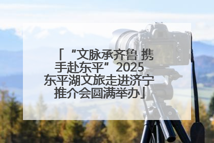 “文脉承齐鲁 携手赴东平”2025东平湖文旅走进济宁推介会圆满举办
