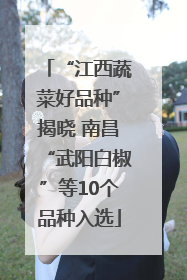 “江西蔬菜好品种”揭晓 南昌“武阳白椒”等10个品种入选