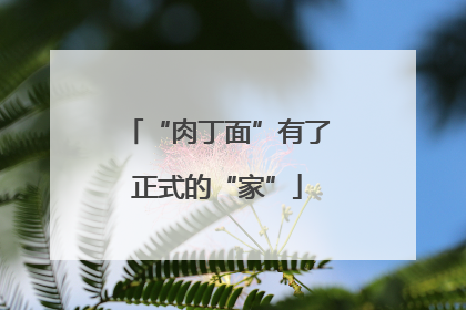 “肉丁面”有了正式的“家”