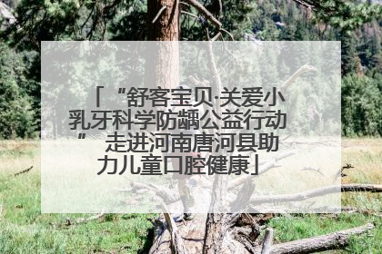 “舒客宝贝·关爱小乳牙科学防龋公益行动” 走进河南唐河县助力儿童口腔健康