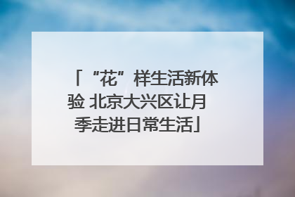 “花”样生活新体验 北京大兴区让月季走进日常生活
