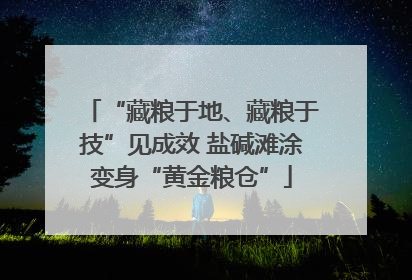 “藏粮于地、藏粮于技”见成效 盐碱滩涂变身“黄金粮仓”
