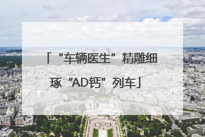 “车辆医生”精雕细琢“AD钙”列车