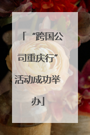 “跨国公司重庆行”活动成功举办