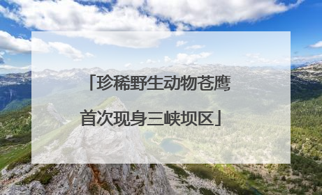 珍稀野生动物苍鹰首次现身三峡坝区