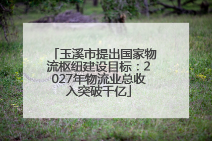 玉溪市提出国家物流枢纽建设目标：2027年物流业总收入突破千亿