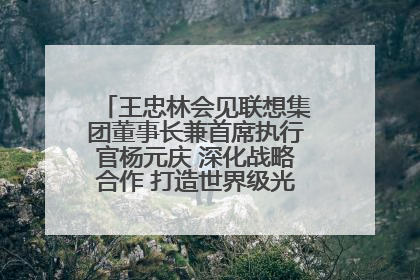 王忠林会见联想集团董事长兼首席执行官杨元庆 深化战略合作 打造世界级光电子信息产业集群