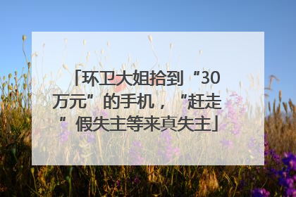 环卫大姐拾到“30万元”的手机，“赶走”假失主等来真失主