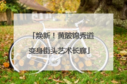 焕新！黄陂锦秀道变身街头艺术长廊