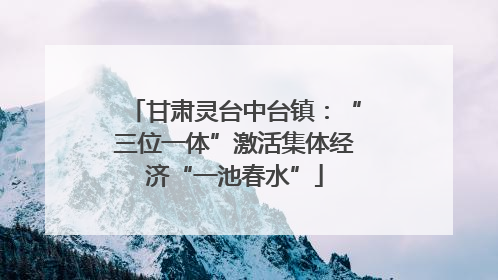 甘肃灵台中台镇：“三位一体”激活集体经济“一池春水”