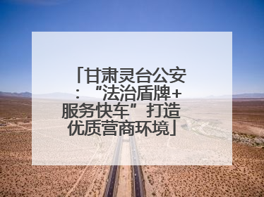 甘肃灵台公安：“法治盾牌+服务快车”打造优质营商环境