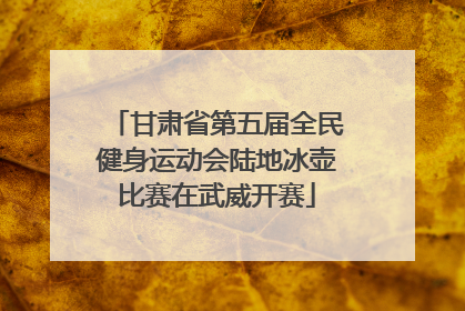 甘肃省第五届全民健身运动会陆地冰壶比赛在武威开赛