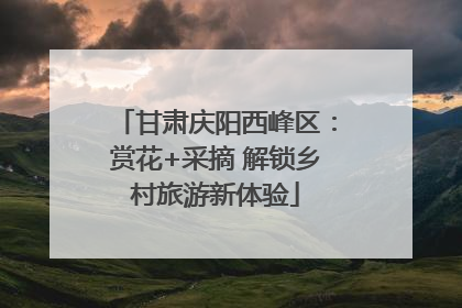 甘肃庆阳西峰区：赏花+采摘 解锁乡村旅游新体验