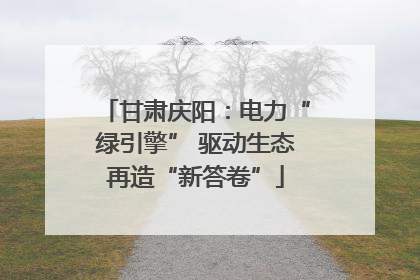 甘肃庆阳：电力“绿引擎” 驱动生态再造“新答卷”