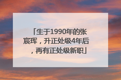 生于1990年的张宸珲，升正处级4年后，再有正处级新职