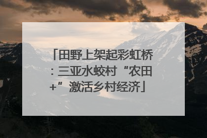田野上架起彩虹桥：三亚水蛟村“农田+”激活乡村经济