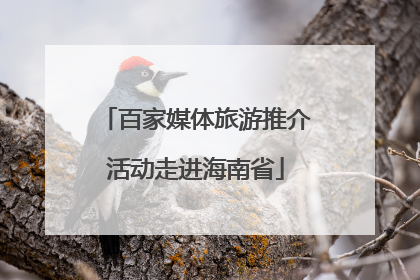百家媒体旅游推介活动走进海南省