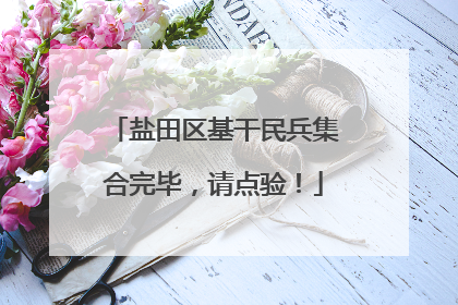 盐田区基干民兵集合完毕，请点验！