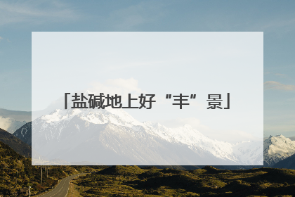 盐碱地上好“丰”景
