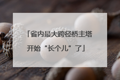 省内最大跨径桥主塔开始“长个儿”了