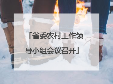 省委农村工作领导小组会议召开