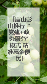 眉山彭山推行“党建+政务服务”模式 精准惠企便民