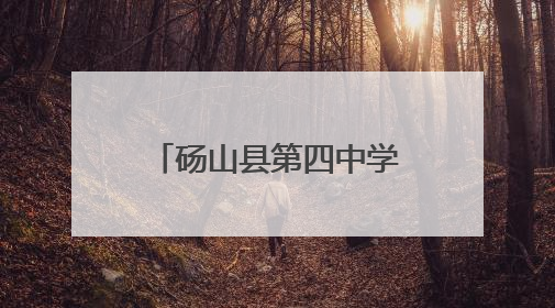 砀山县第四中学：弘扬爱国精神，深耕民法典宣传