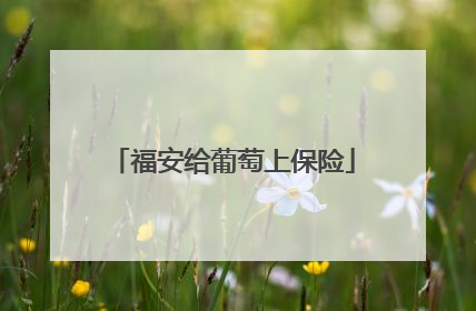 福安给葡萄上保险