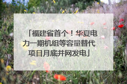 福建省首个！华夏电力一期机组等容量替代项目月底并网发电