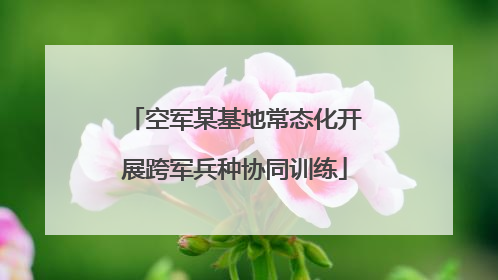 空军某基地常态化开展跨军兵种协同训练
