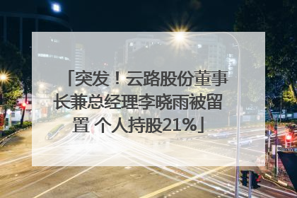 突发！云路股份董事长兼总经理李晓雨被留置 个人持股21%