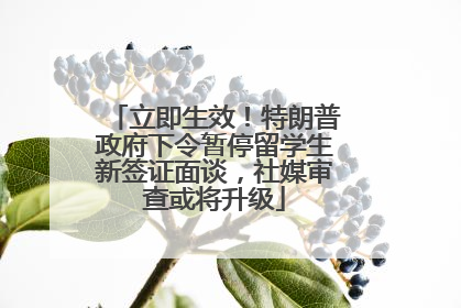 立即生效！特朗普政府下令暂停留学生新签证面谈，社媒审查或将升级