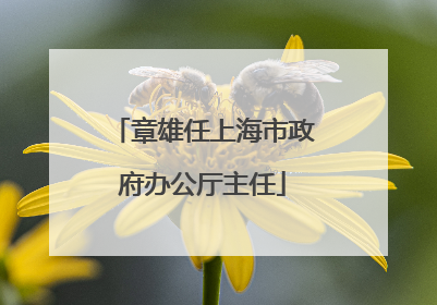 章雄任上海市政府办公厅主任