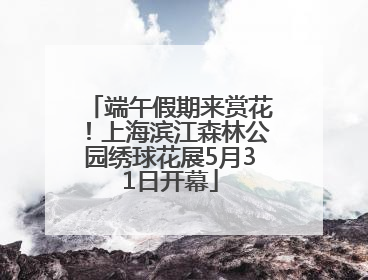 端午假期来赏花！上海滨江森林公园绣球花展5月31日开幕