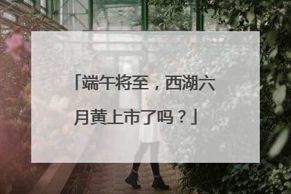 端午将至，西湖六月黄上市了吗？