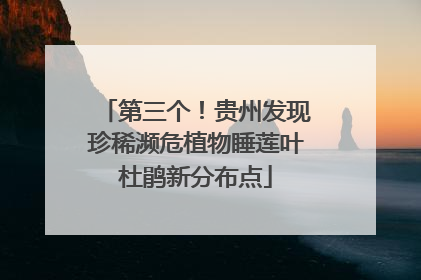 第三个！贵州发现珍稀濒危植物睡莲叶杜鹃新分布点