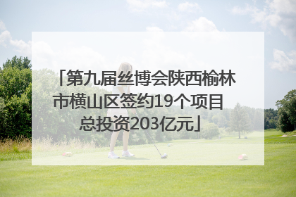 第九届丝博会陕西榆林市横山区签约19个项目 总投资203亿元
