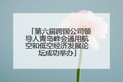第六届跨国公司领导人青岛峰会通用航空和低空经济发展论坛成功举办