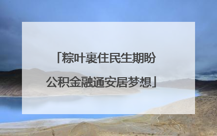 粽叶裹住民生期盼 公积金融通安居梦想