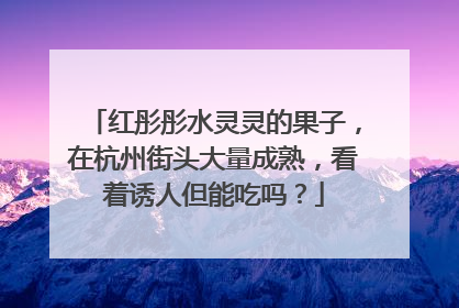 红彤彤水灵灵的果子，在杭州街头大量成熟，看着诱人但能吃吗？
